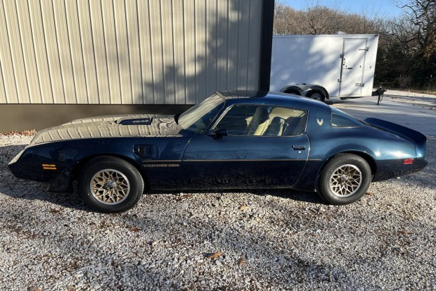 1981 Pontiac Firebird Trans Am