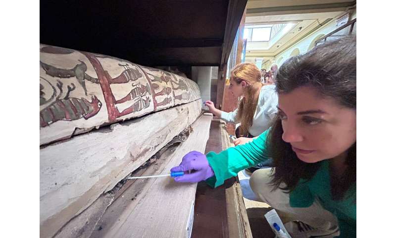 Ancient Egyptian mummified bodies smell 'woody,' 'spicy' and 'sweet'