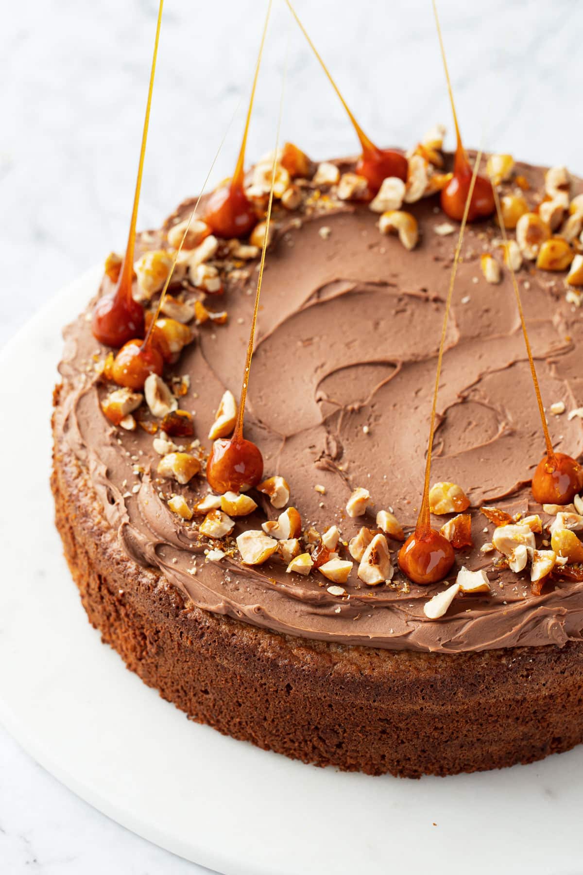 Flourless Hazelnut Cake frosted with swirls of Nutella Whipped Ganache and topped with chopped candied hazelnuts and hazelnut spikes.