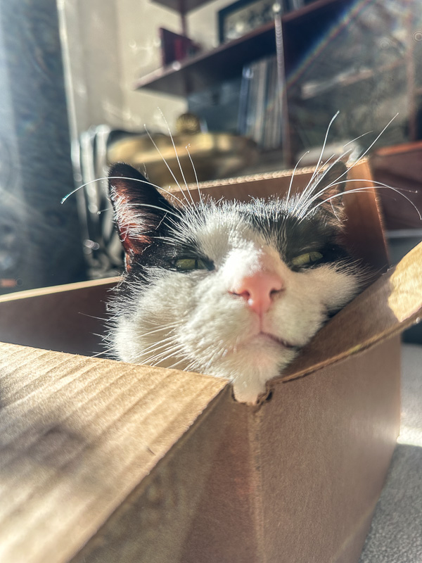 My Everyday Life Week 01 of 2026- Tracy Benjamin of Shutterbean.com