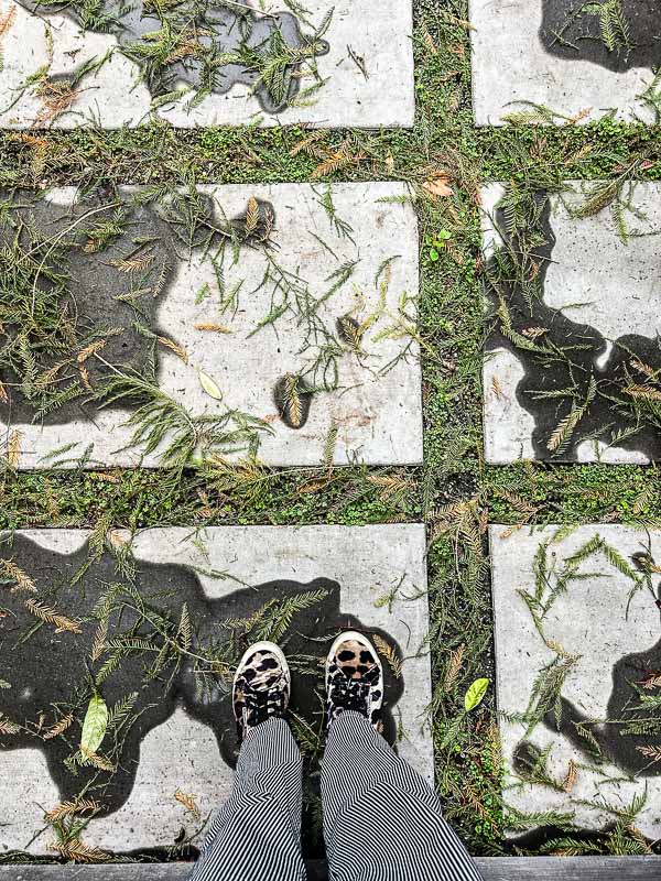 My Everyday Life Week 01 of 2026- Tracy Benjamin of Shutterbean.com