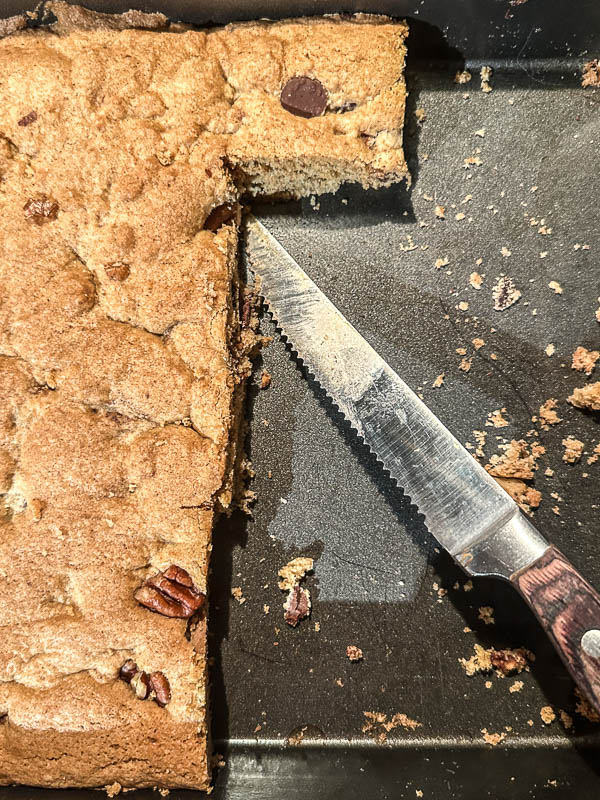 My Everyday Life Week 01 of 2026- Tracy Benjamin of Shutterbean.com