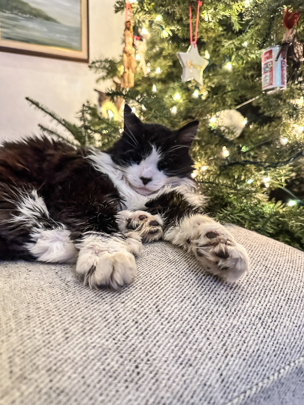 My Everyday Life Week 01 of 2026- Tracy Benjamin of Shutterbean.com