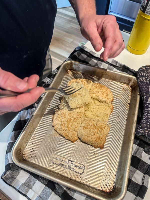 My Everyday Life Week 01 of 2026- Tracy Benjamin of Shutterbean.com